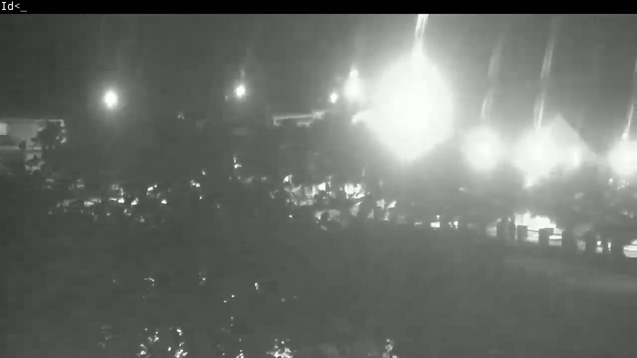 A nighttime, blurry, grayscale image shows bright lights behind trees and some structures, possibly during a storm or heavy rain.