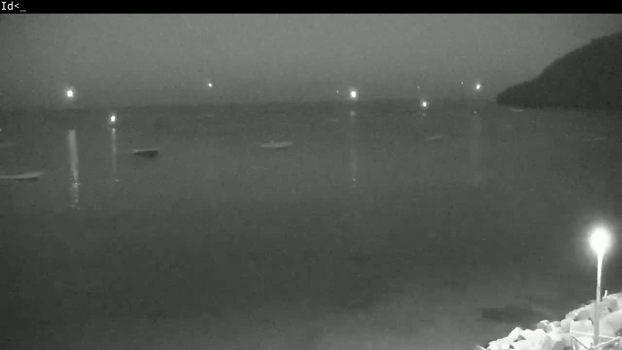 A nighttime, hazy view shows a dark body of water with several small boats and faint lights on the shore and in the distance.