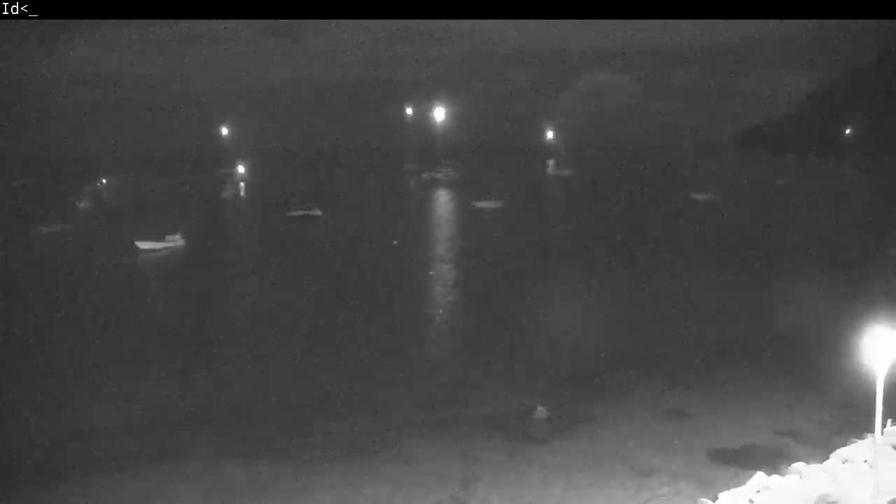 A nighttime, low-light view of a dark body of water with several indistinct objects in it, illuminated by several lights on the shore.