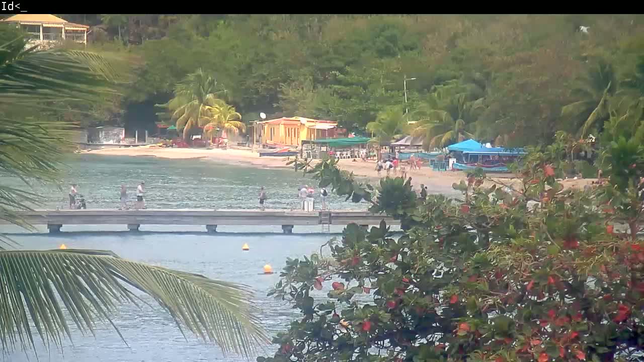 A tropical beach scene with calm water, a wooden pier with several people on it, small buildings, palm trees, and lush vegetation, partially obscured by foreground foliage.