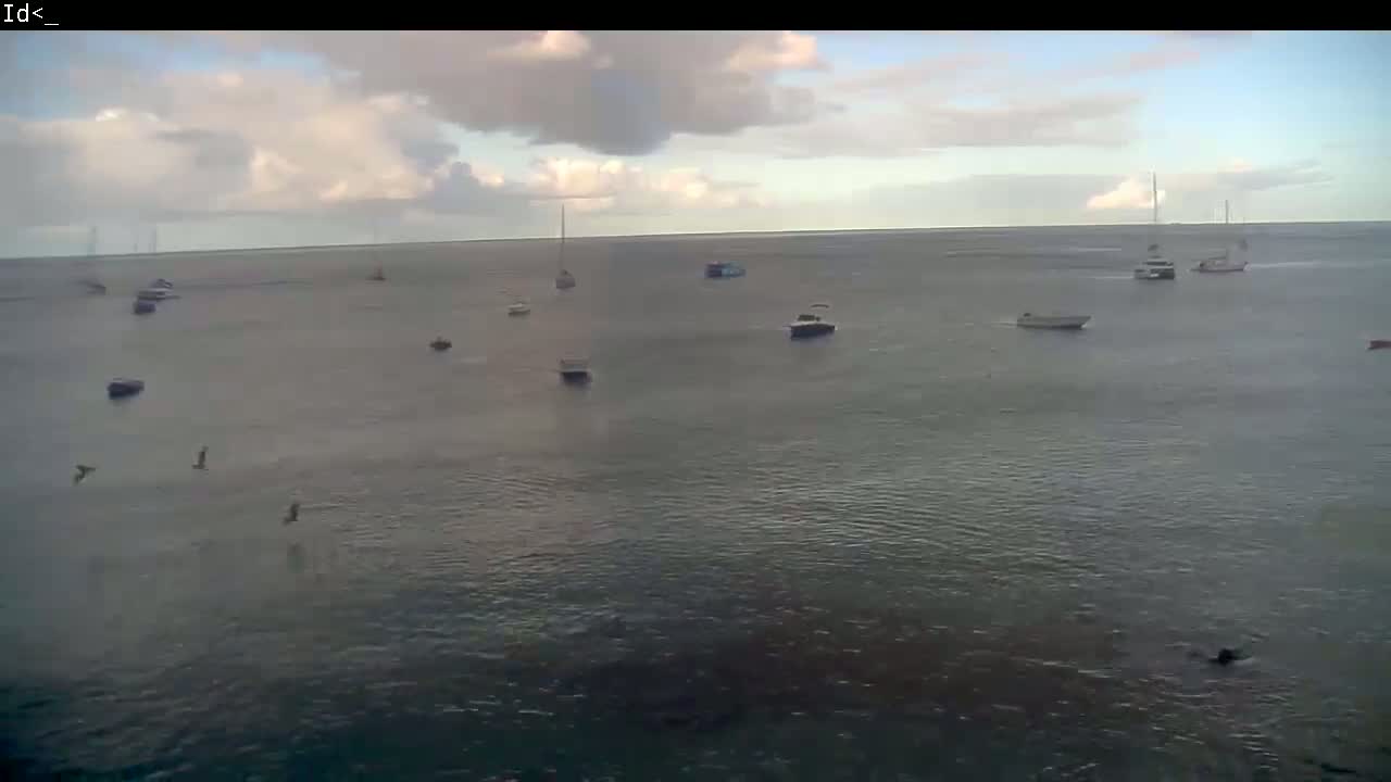 Several boats are scattered across a calm body of water under a partly cloudy sky.