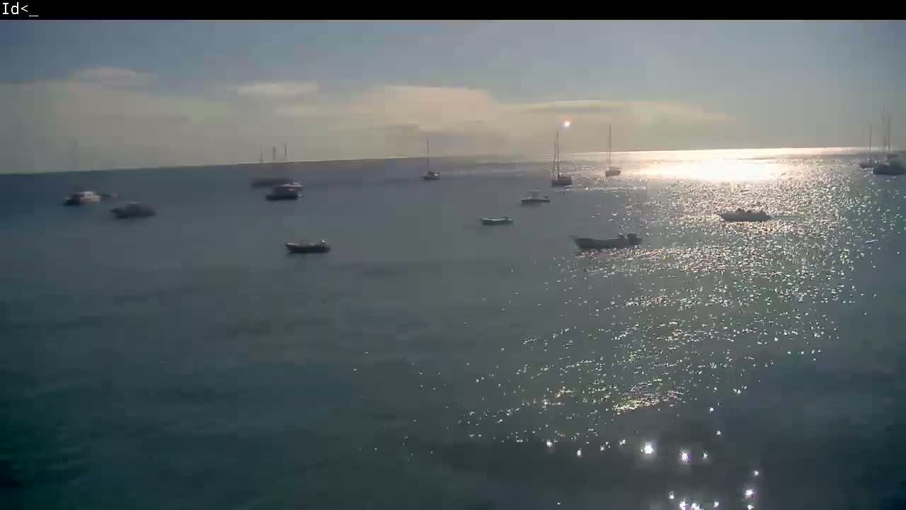 Several boats are scattered across a calm body of water shimmering under a bright, sunny sky.