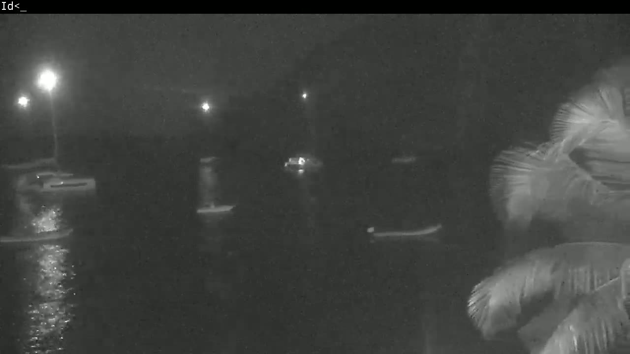 Several boats are moored in a dark body of water at night, illuminated by distant lights, with palm trees visible in the foreground.