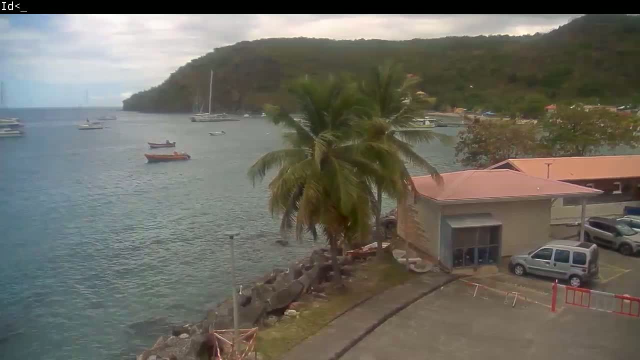 A calm bay with several boats, overlooked by palm trees and a small building, under a cloudy sky.