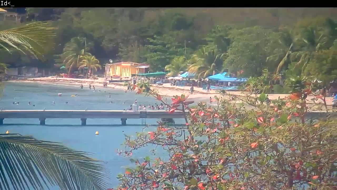 A sandy beach with people swimming and relaxing in calm, clear water, a pier, and lush green vegetation including palm trees, all under a sunny sky.