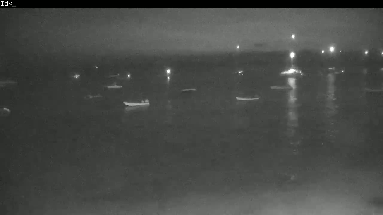 A nighttime, low-light view of numerous dark objects, possibly boats, on a body of water, with faint lights visible in the distance.