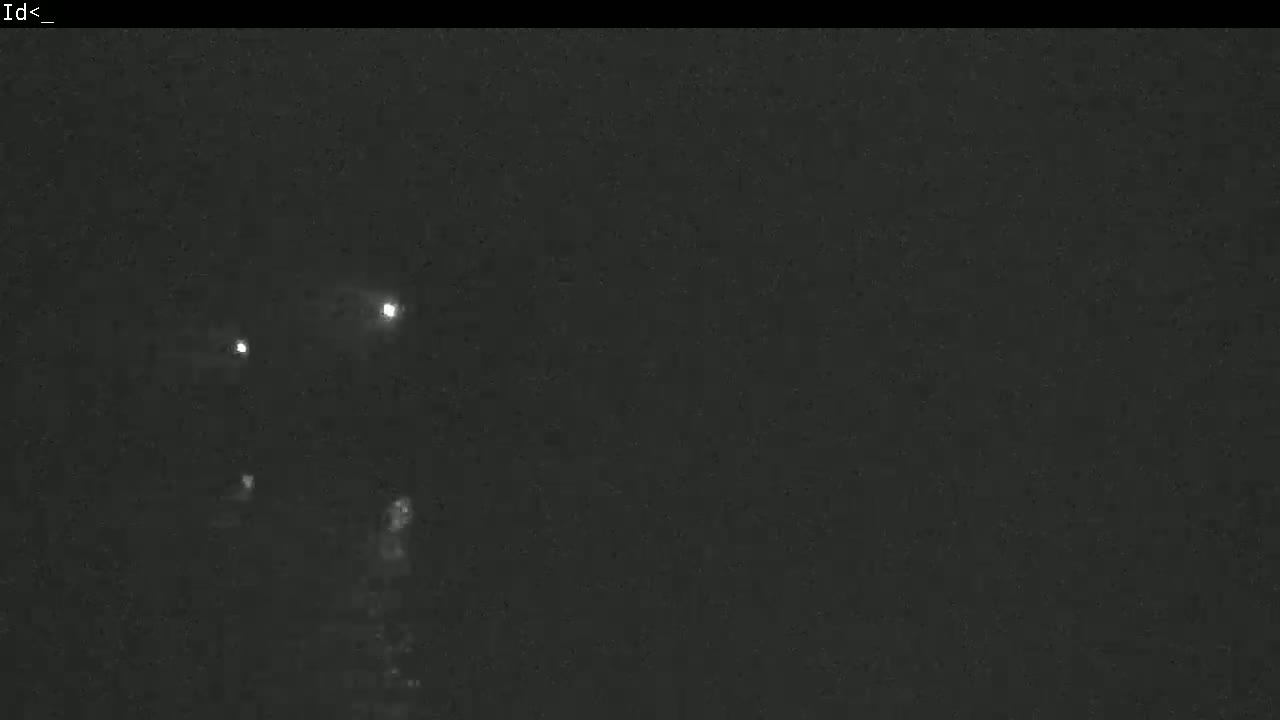 A nighttime, low-light image shows a dark, possibly wooded area with a few faint lights visible in the distance.