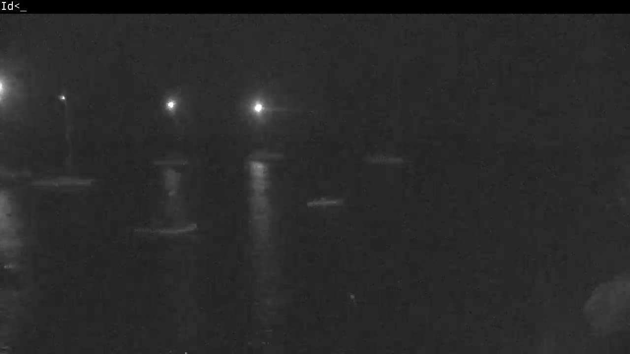 Several boats are moored in dark water at night under dim lighting.