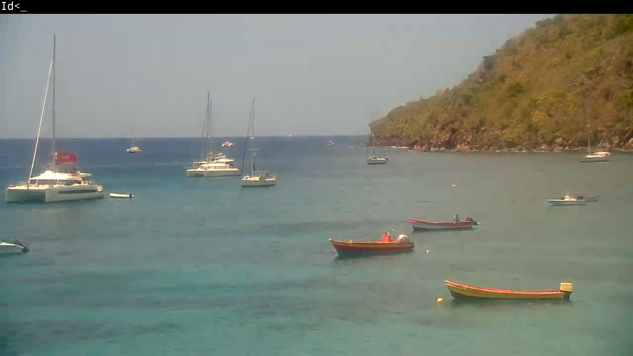Several sailboats and small motorboats are anchored in a calm, clear bay next to a verdant hillside.