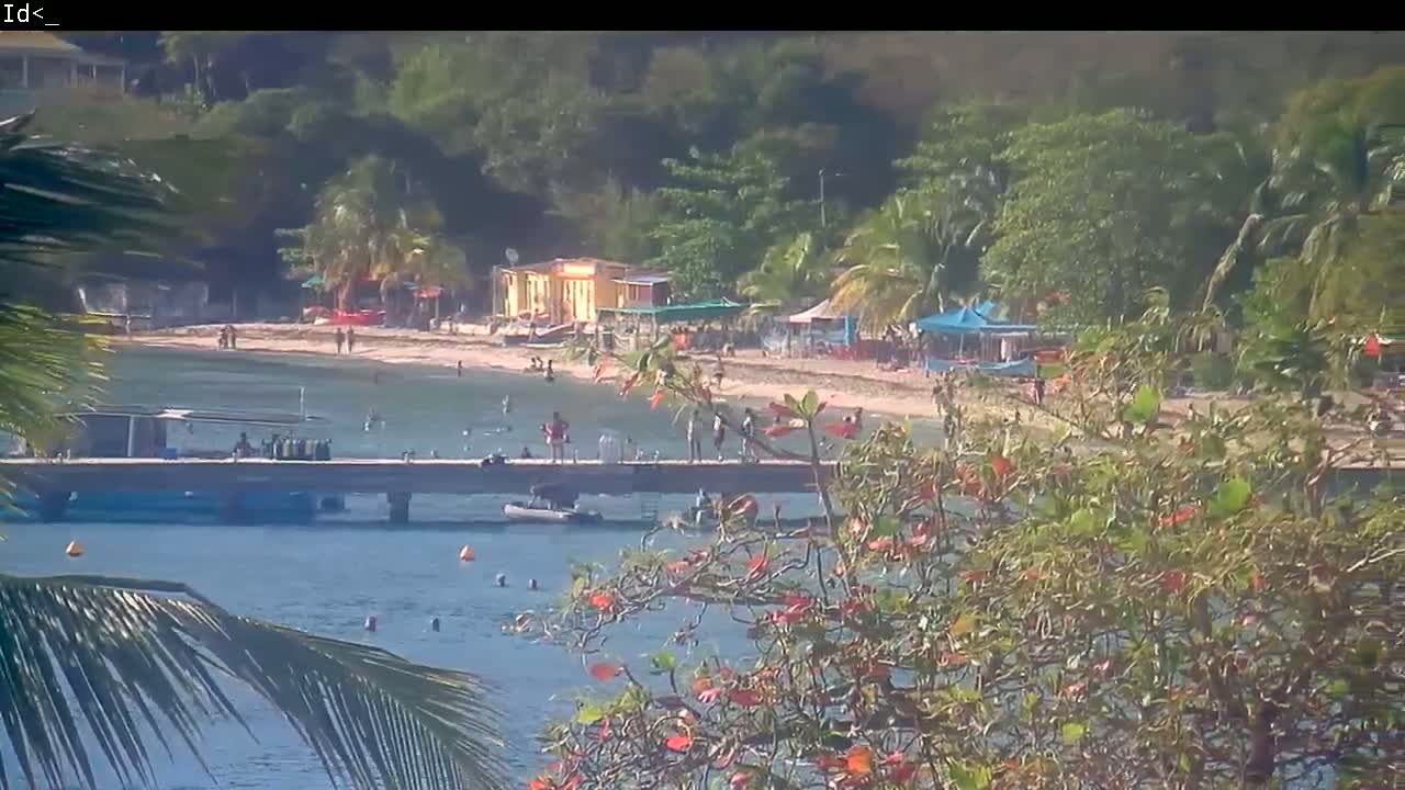 A sandy beach with people swimming and relaxing, a dock with boats, and tropical vegetation under a sunny sky.