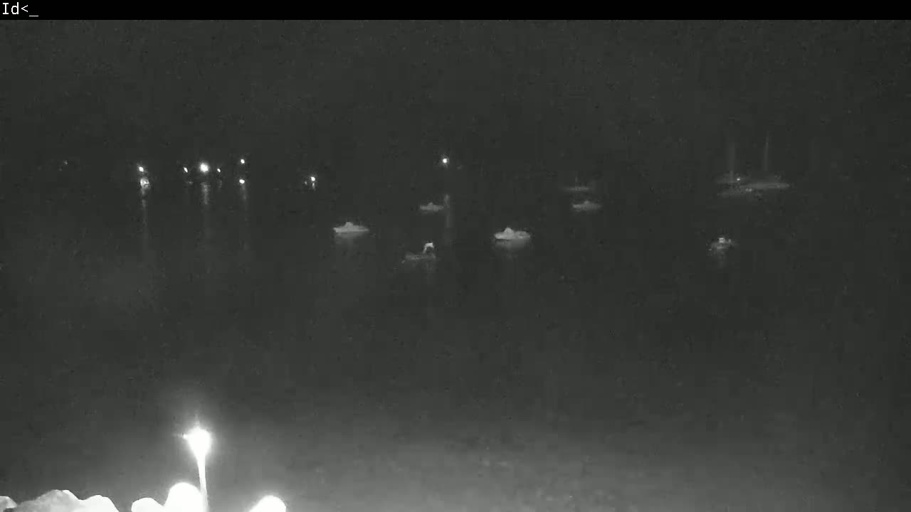A nighttime, low-light view of several boats moored in dark water.
