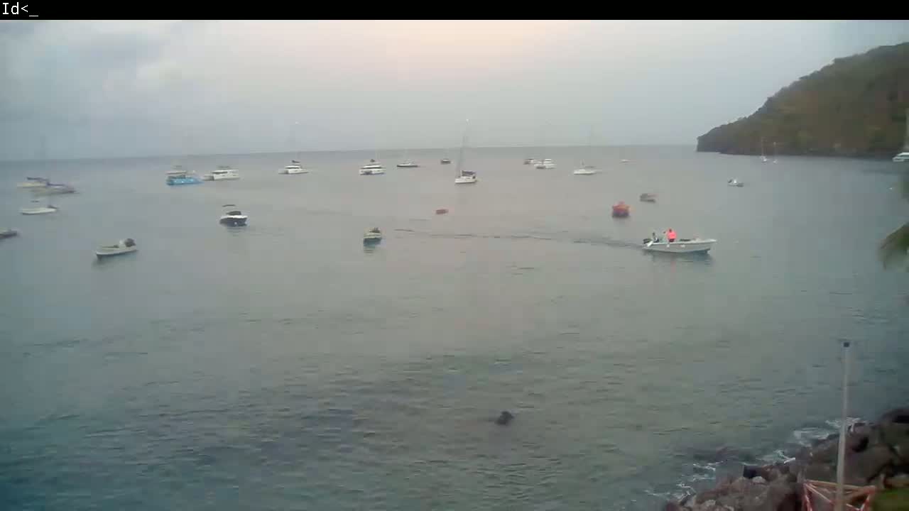Numerous boats are scattered across a calm, gray body of water under an overcast sky, with a dark, hilly shoreline visible in the background.