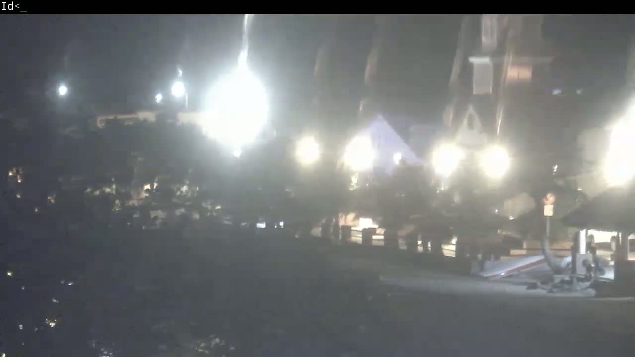 A nighttime, hazy view shows a collection of buildings with bright lights, partially obscured by trees and a low-hanging fog or mist.