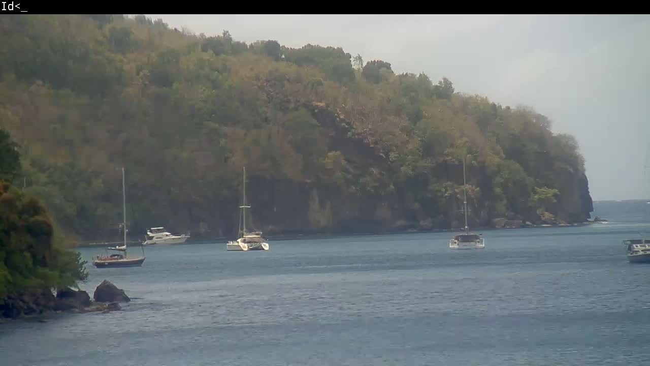 Several sailboats and motorboats are anchored in calm water near a lush, green hillside on an overcast day.