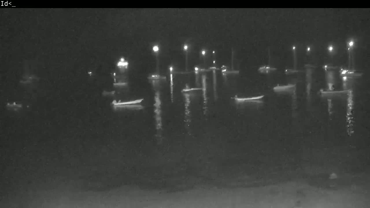 Several small boats are moored in a calm body of water at night, illuminated by lights along the shore.