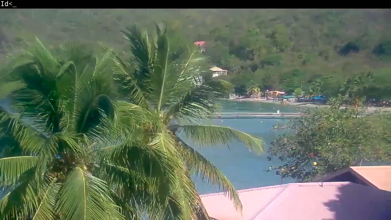 A palm tree partially obscures the view of a calm, blue bay with a sandy beach and buildings on a lush green hillside under a sunny sky.