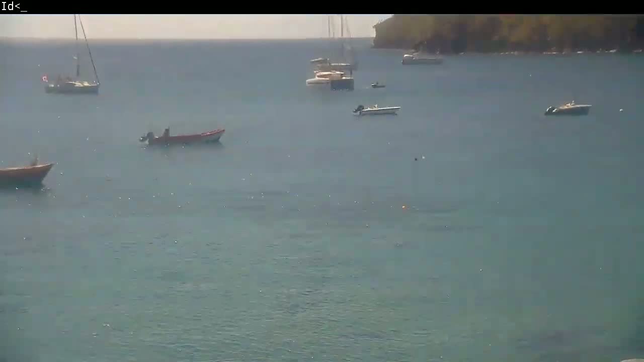 Several boats are anchored in a calm, hazy body of water near a wooded shoreline.