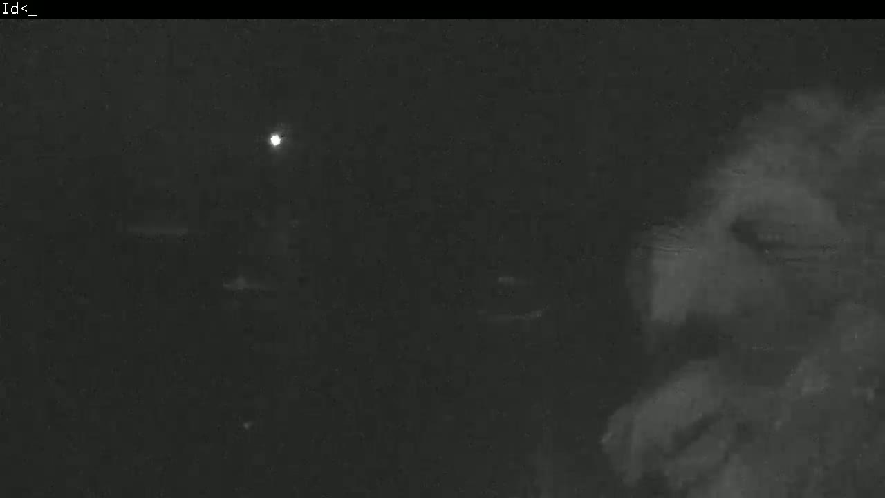 A blurry, dark image shows a bright light in the distance and a partially visible figure in the foreground at night.