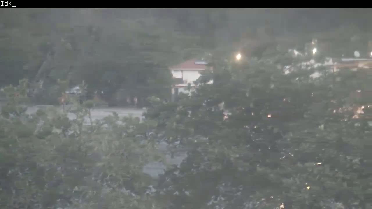 A hazy view shows a building partially obscured by lush green trees in rainy weather.