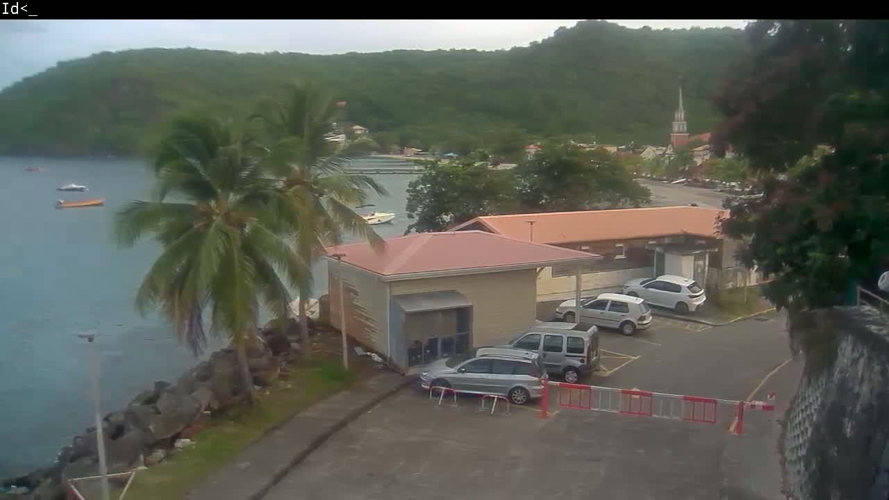 A hazy view overlooking a waterfront parking lot with several cars, a small building, palm trees, a body of water with boats, and a hillside with lush green vegetation in the background.