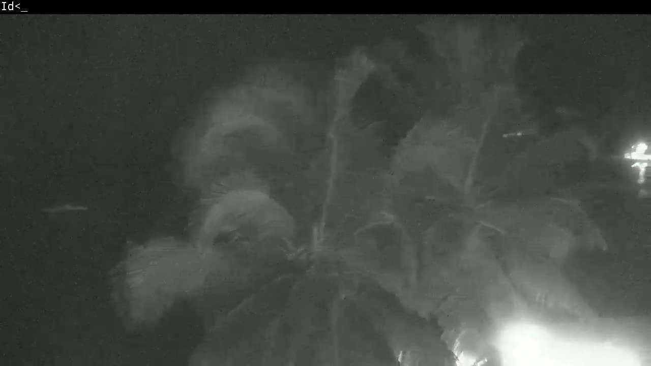 Martinique Island, Les Anses d'Arlet Coast & Village Live Cam  - Le Marin, Martinique, France