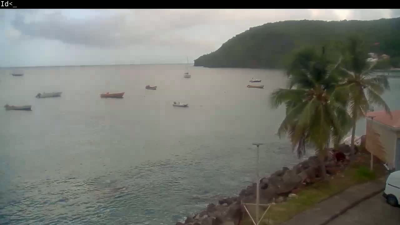 Several small boats are moored in calm, overcast water near a rocky shore with palm trees and a building, backed by a verdant hillside.