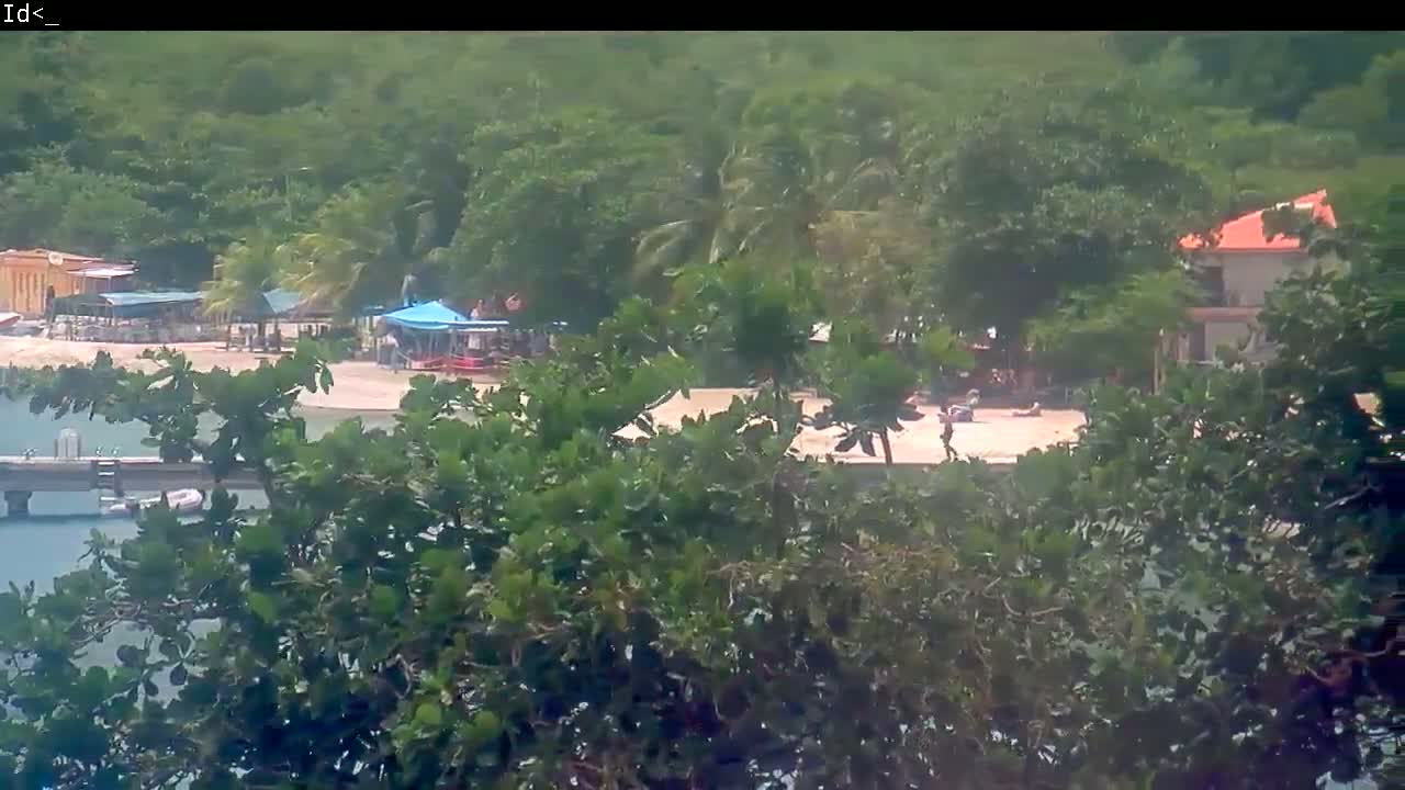 A partly-overcast view of a sandy beach with several buildings and people, partially obscured by lush green foliage.