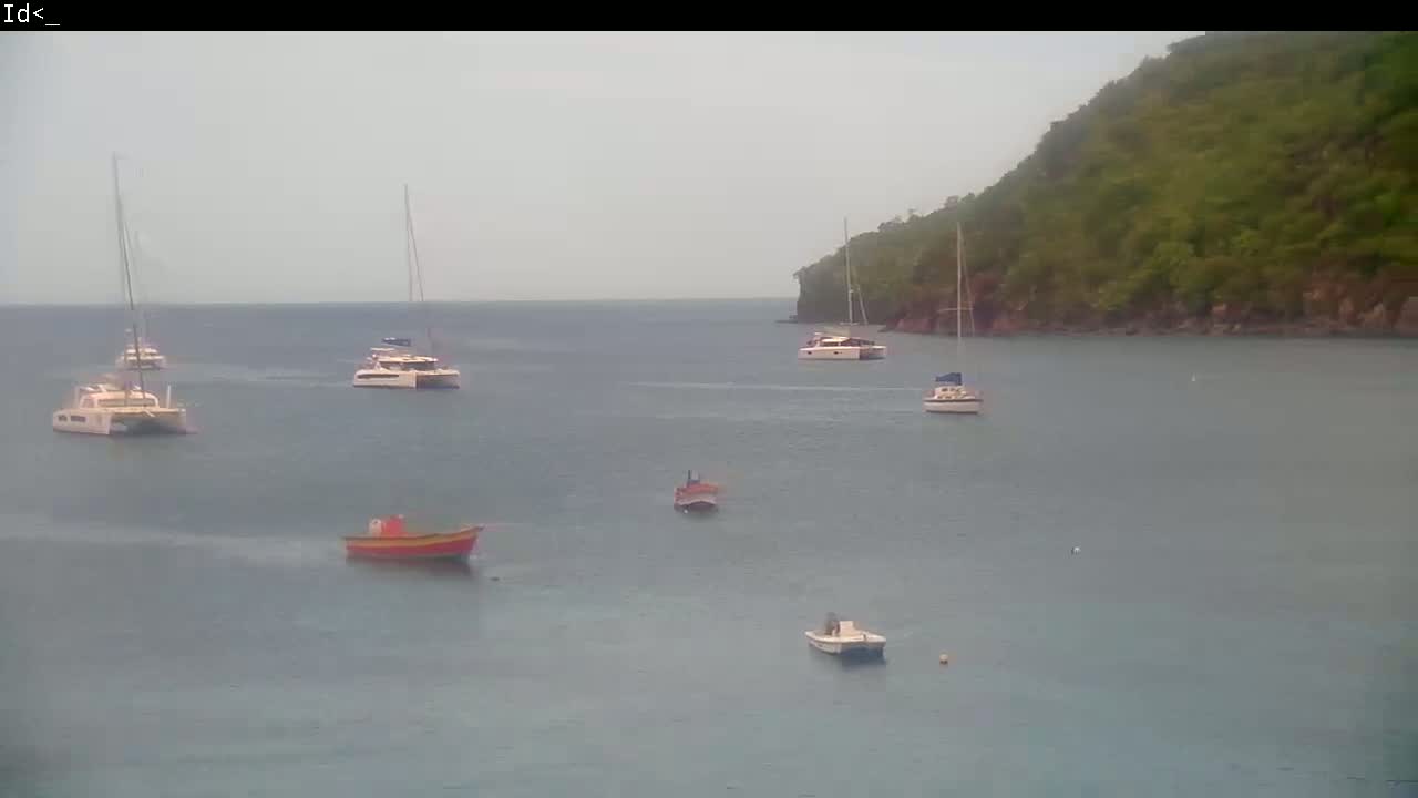 Several sailboats and small motorboats are anchored in a calm bay, near a verdant hillside under an overcast sky.