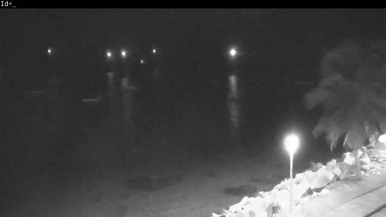 At night, several blurry figures stand in dark water illuminated by distant lights, near a shoreline with a lit lamppost and vegetation.