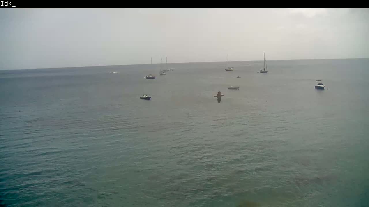 Martinique Island, Les Anses d'Arlet Coast & Village Live Cam  - Le Marin, Martinique, France