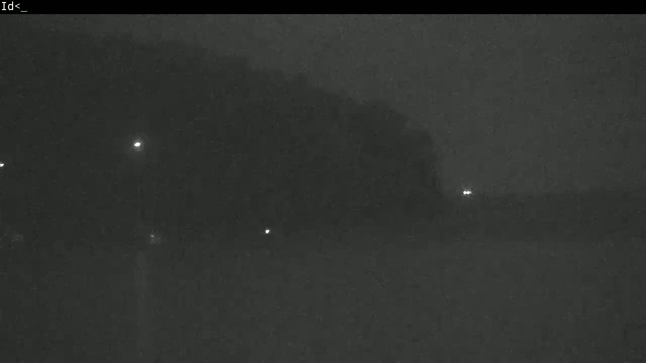 Faint lights are visible in the dark, foggy distance.