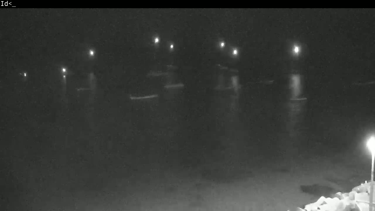 Several dimly lit boats are moored in dark water at night.
