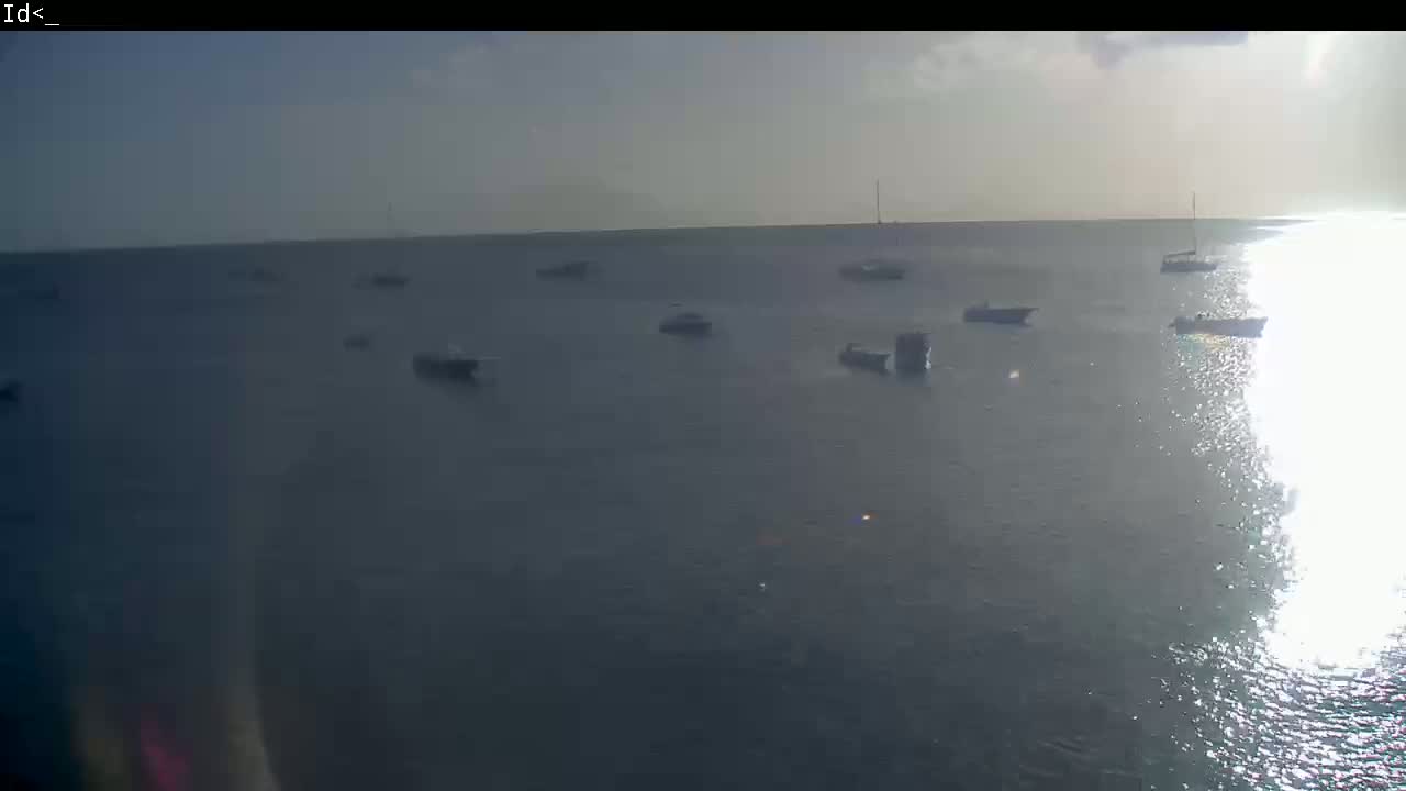 Several boats are at anchor on a calm, sunny body of water.