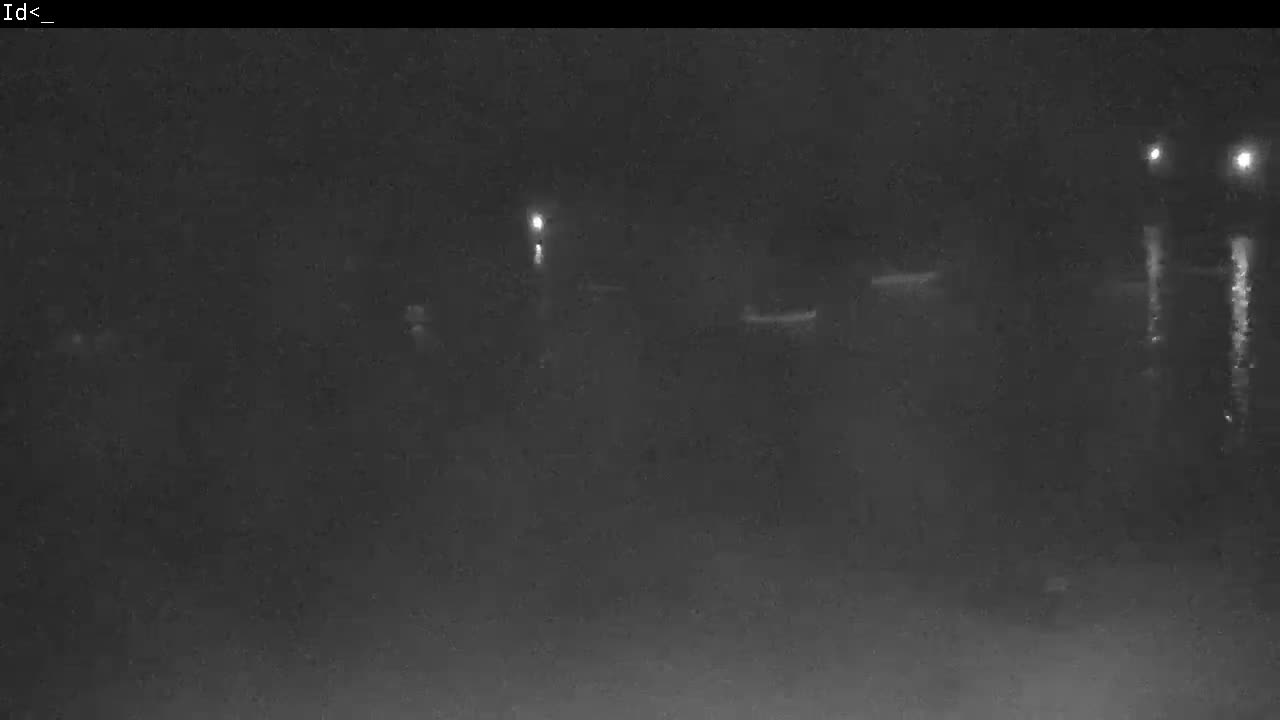 A dark, grainy outdoor scene at night reveals several distant bright lights, with some lights reflecting on a body of water.