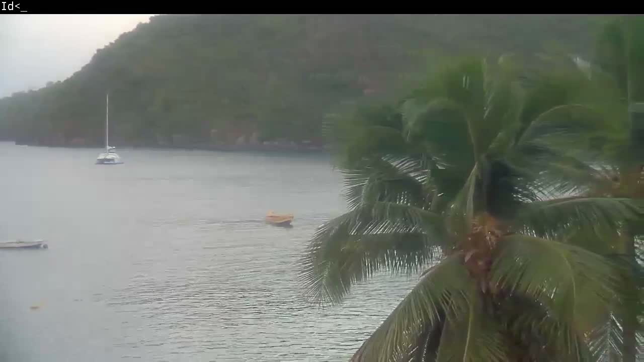 On a dark night, two distant streetlights illuminate a calm body of water reflecting their light, with blurry palm-like foliage partially visible on the right.