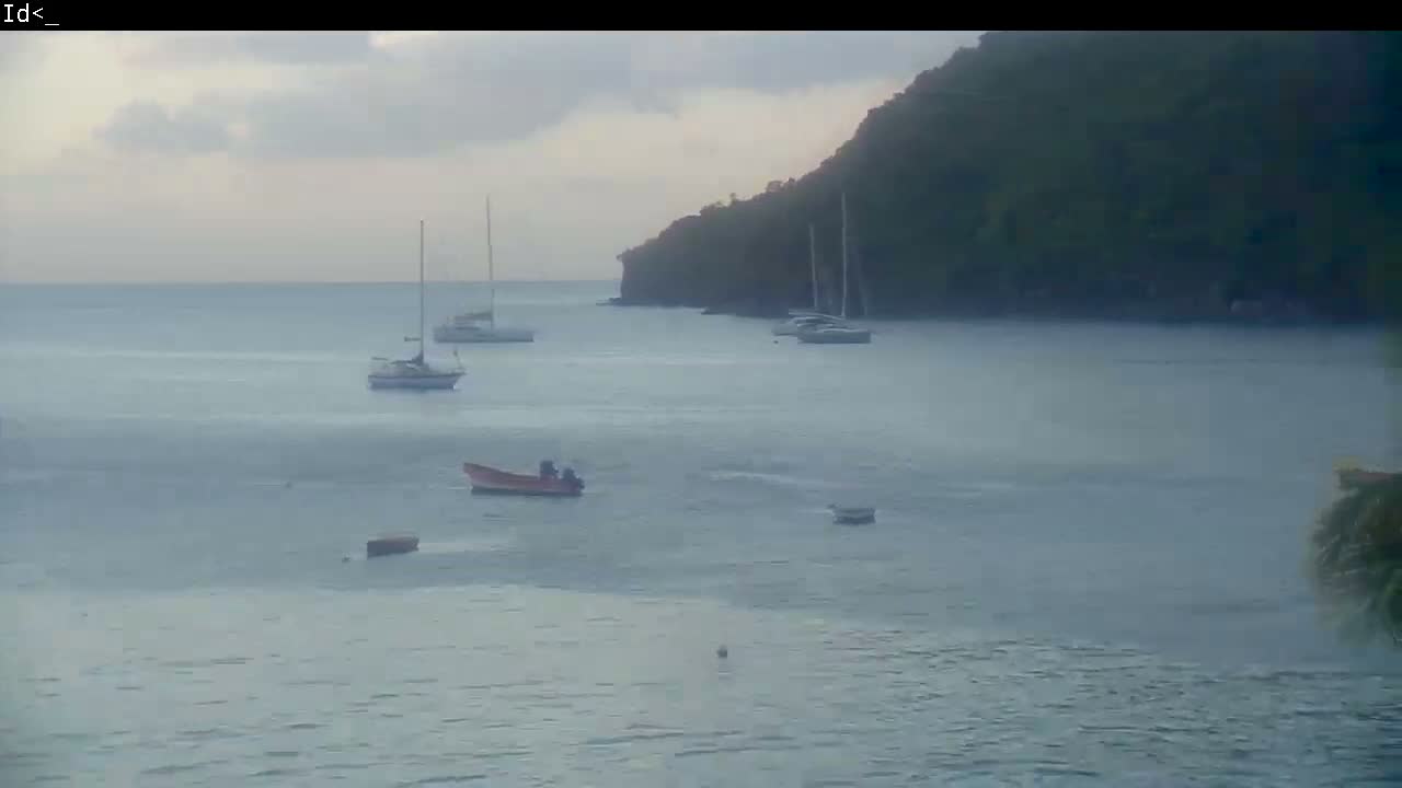 On a dark night, two distant streetlights illuminate a calm body of water reflecting their light, with blurry palm-like foliage partially visible on the right.