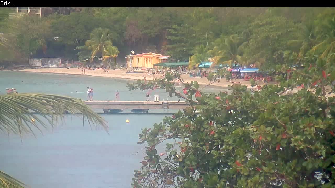 Martinique Island, Les Anses d'Arlet Coast & Village Live Cam  - Le Marin, Martinique, France