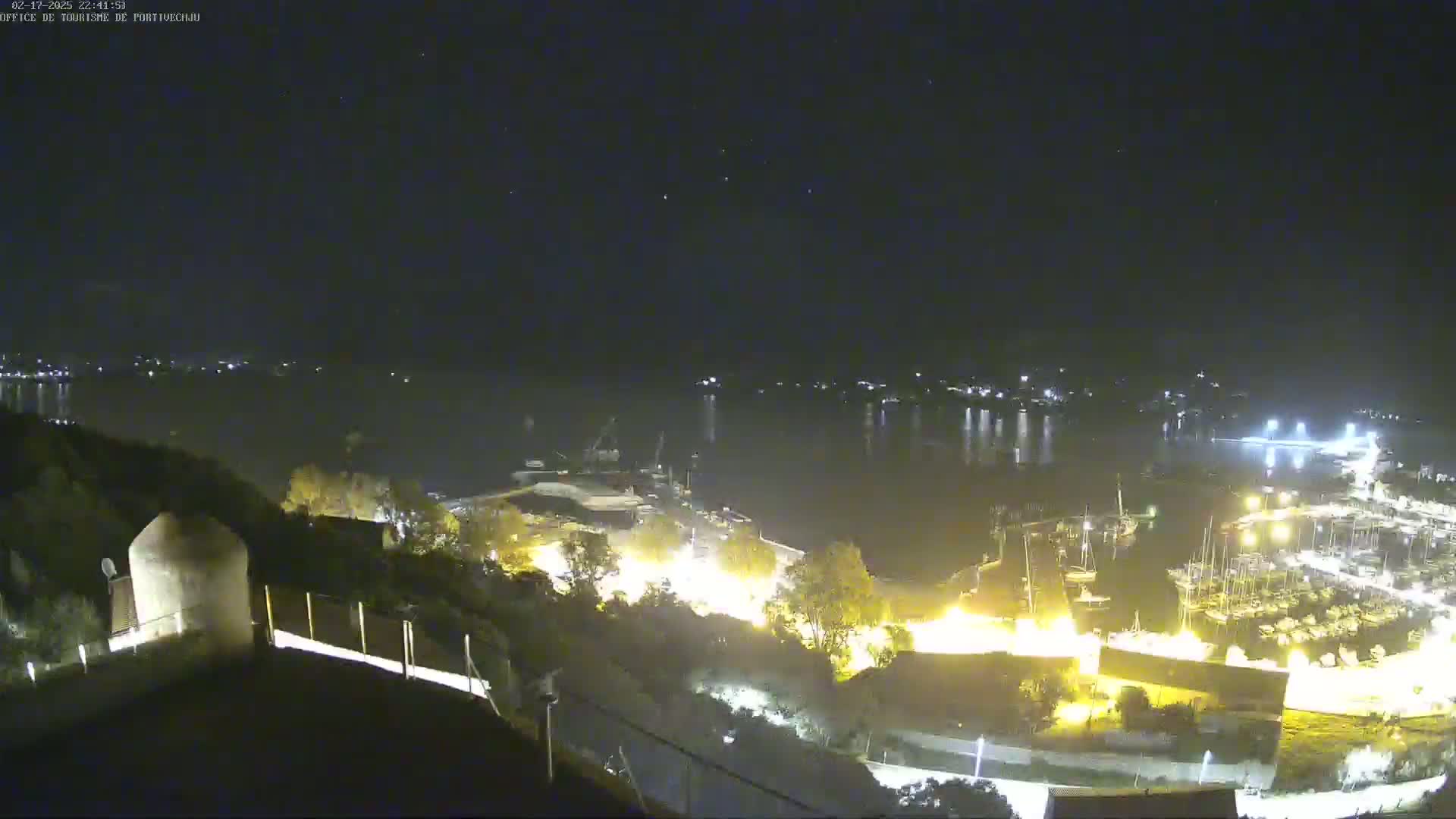 A nighttime, high-angle view of a harbor filled with boats, illuminated by lights,  with a dark body of water reflecting the lights, and a hilltop in the foreground.