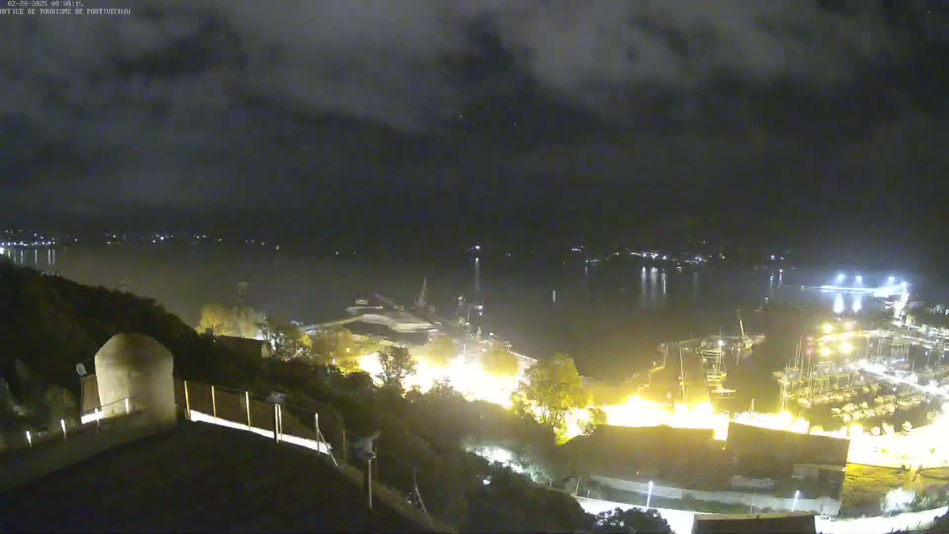 A nighttime view of a harbor with many boats, lit up by artificial lights under a cloudy sky.
