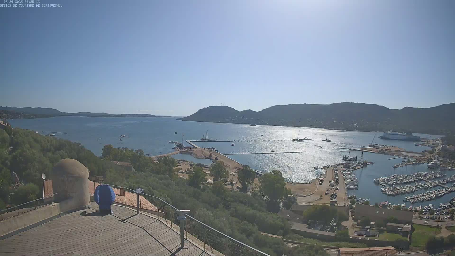An elevated view of a harbor filled with boats on a sunny day, with a large body of water extending to hills in the distance.