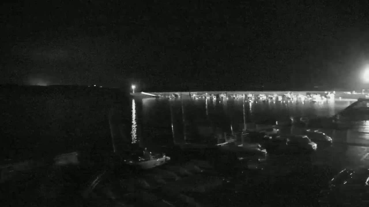 A nighttime view of a harbor filled with boats, under a clear, dark sky.