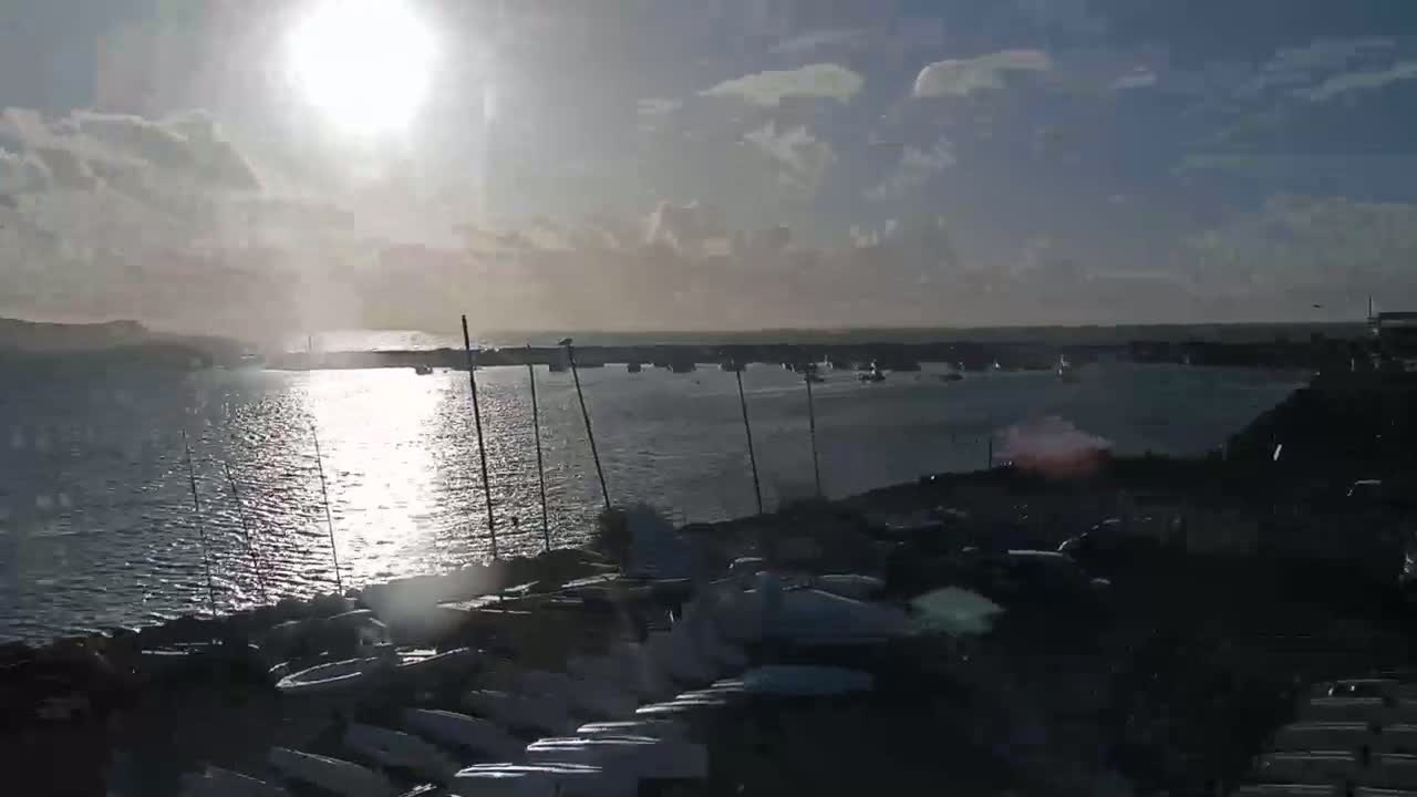 A sunny day reveals a calm body of water with numerous sailboats moored on the shore and a few sailing in the distance.
