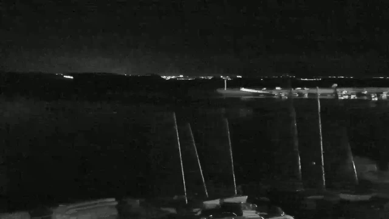 A nighttime view shows a dark landscape with tall, thin objects in the foreground and distant city lights on the horizon under a clear, dark sky.