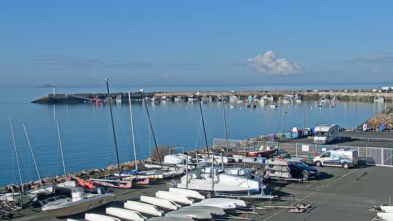 A harbor filled with sailboats and motorboats under a clear blue sky, with a calm sea and a distant landmass visible.