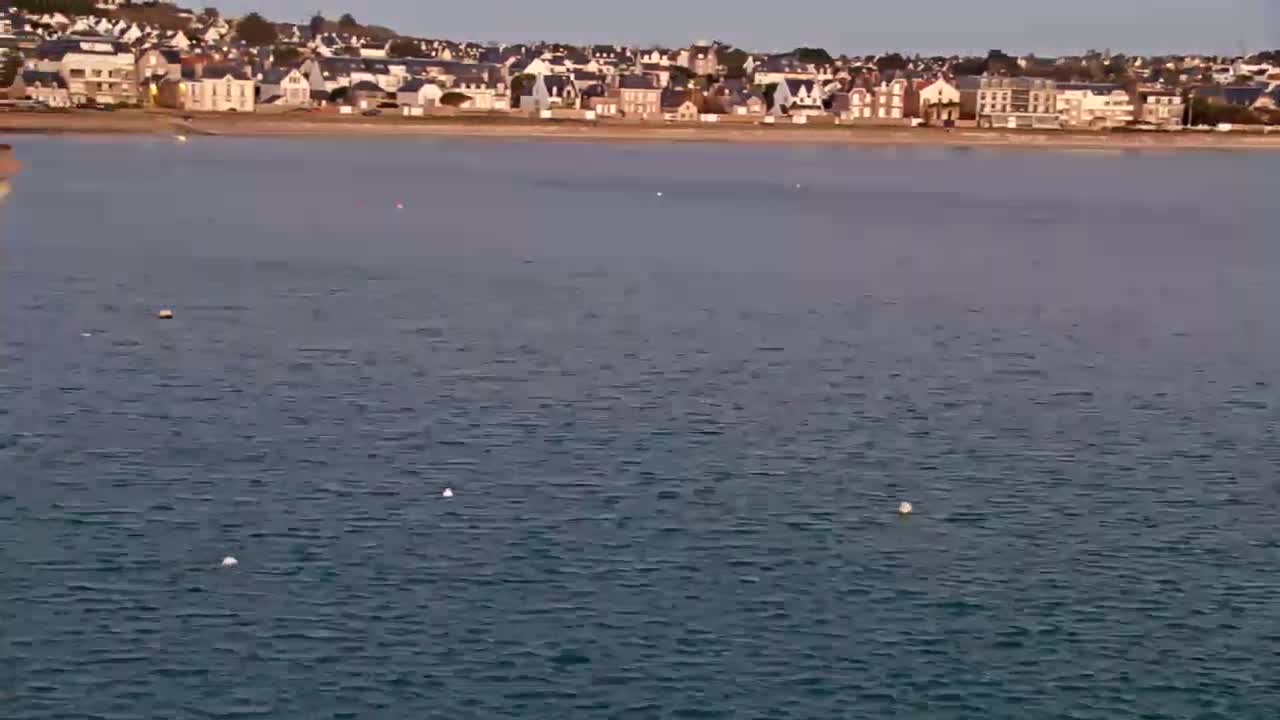 A calm body of water stretches out before a shoreline of buildings under a clear sky.