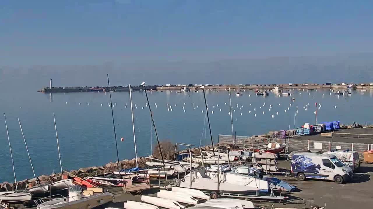 Numerous sailboats are docked at a harbor on a sunny day, with calm water and a distant view of a breakwater and other boats.