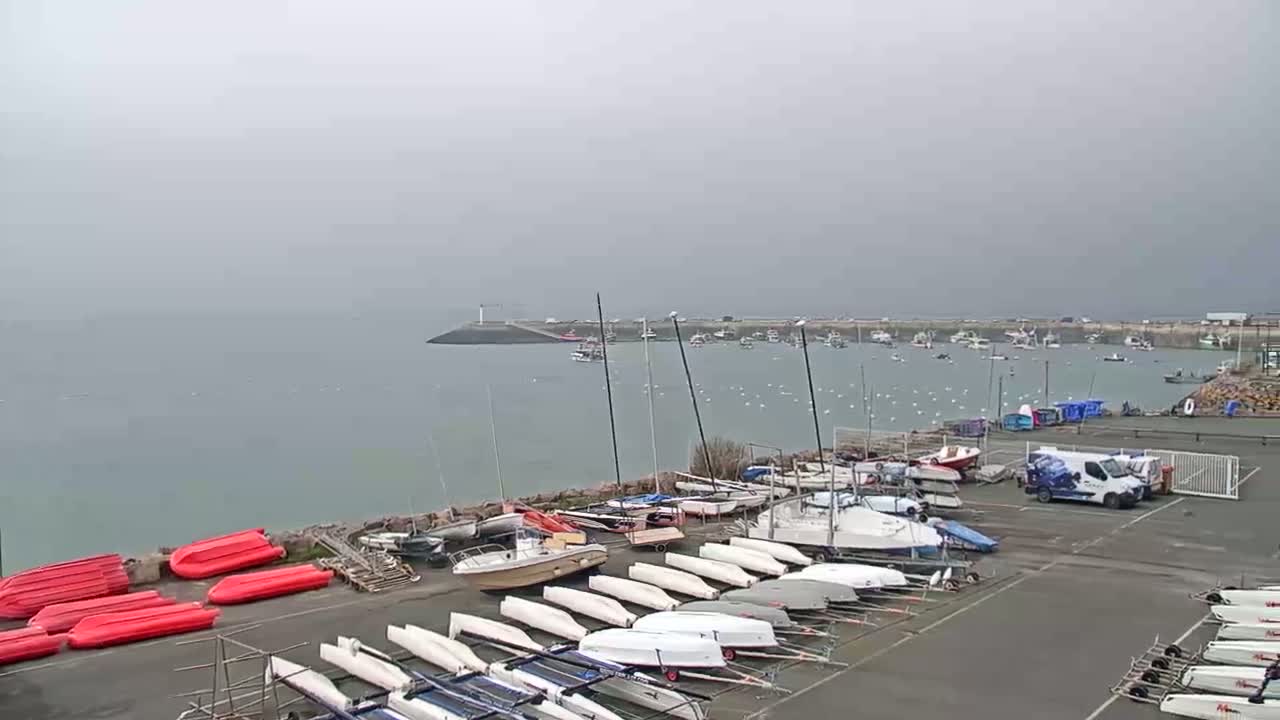 Numerous sailboats and small motorboats are stored in a harbor lot under an overcast sky, with a calm body of water and more boats visible in the distance.