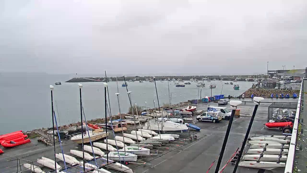Many sailboats and other small watercraft are docked at a harbor on an overcast day.