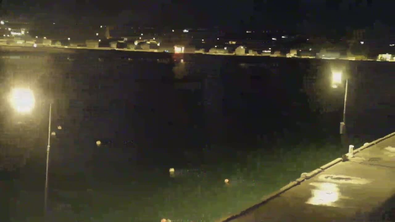 A nighttime view of a calm body of water, illuminated by streetlights, with a concrete pier in the foreground and a distant shoreline of buildings.