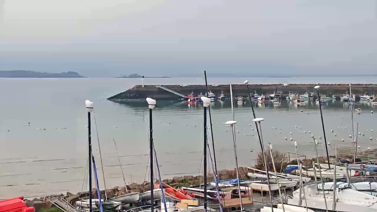 Numerous sailboats are docked at a harbor on a calm, overcast day, with a larger body of water and distant land visible in the background.
